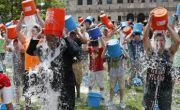 Lessons learned from the Ice Bucket Challenge