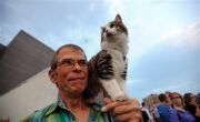 Animal worship and human rights