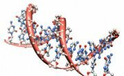 Evolutionary biologist: ‘Twist of fate’ responsible for important human protein